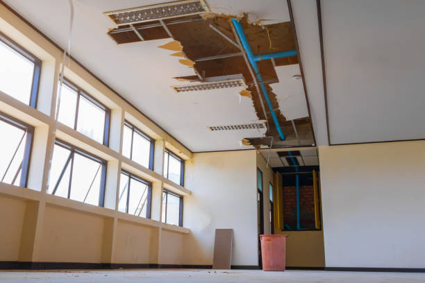Best Basement water damage restoration  in Heyworth, IL