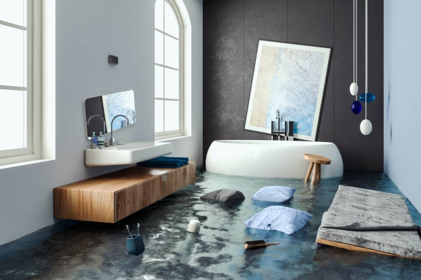 Best Water damage contractors near me  in Heyworth, IL
