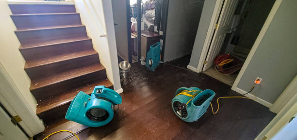 Best Residential water damage restoration  in Heyworth, IL