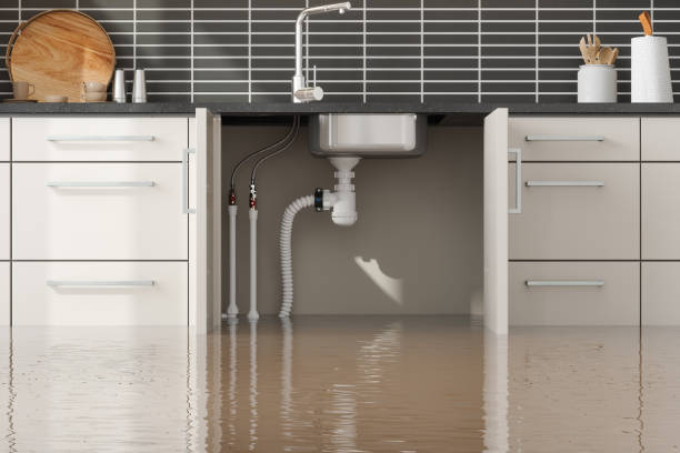 Best Professional water damage repair  in Heyworth, IL